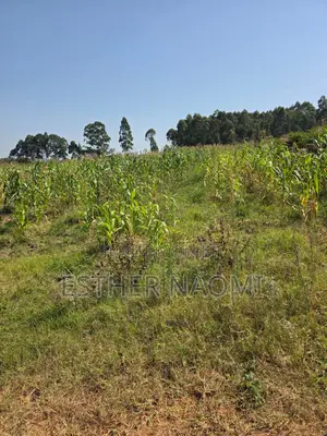 4 Acres Prime Land for Sale Near Kitale Airstrip