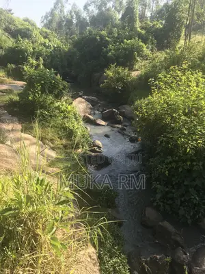 Ardhi Bora ya Eka 3.66 kwa Uuzaji - Barabara ya Kakamega/Mumias