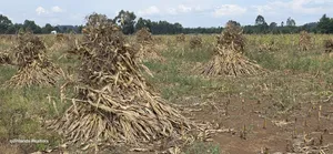 Eka 2.5 za Biashara Zinazogusa Barabara Kuu, Cheptiret Eldoret