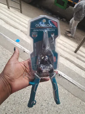Toolzone 10-Inch Aviation Snips