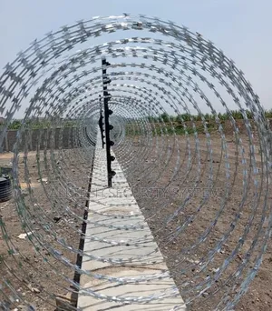 Galvanized Silver Razor Wire (10m) 450mm