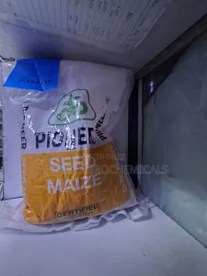 Mbegu za Mahindi Pioneer P3531W 2kg