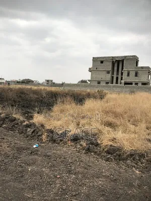 Vipande Bora vya Makazi Ruiru Vinauzwa (50x100)