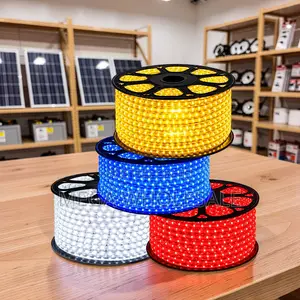 50m Outdoor LED Snake Light with Connector