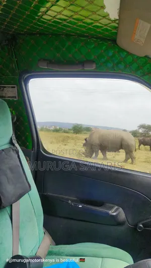 Usafiri wa Safari Nakuru na Masai Mara