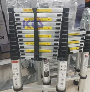 Telescopic Ladder Moja