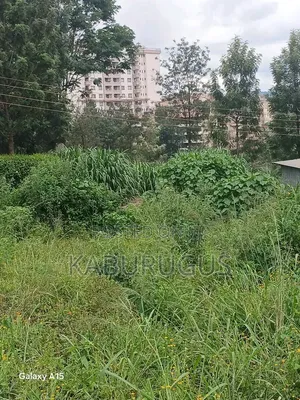Kiwanja Ruaka cha Kuuzwa - 100x100