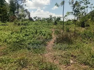 Eka 1 ya Biashara kwa Mauzo, Nakuru