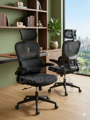 Boss Office Products Ergonomic Mesh Office Chair