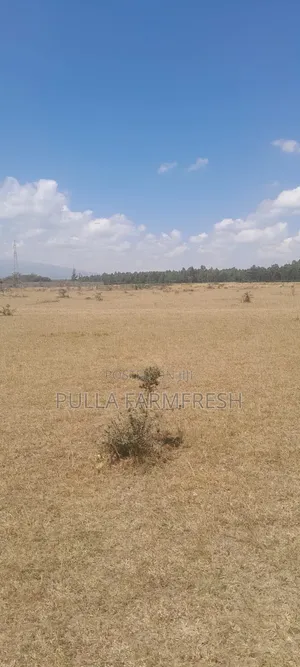 Prime 5 Acre Land in Nanyuki Nturukuma with Title Deed