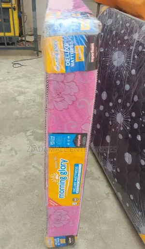 5x6 ft 10-Inch Plain Morning Glory Mattress