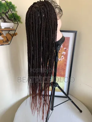 Waist Length Braided Wig - Colour 1/350