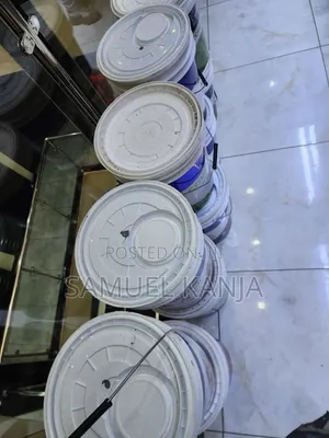 Crown Silk Soft White Paint - 20L