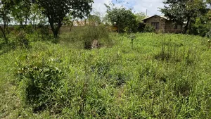 Plot for Sale - 50x100 in Mariakani