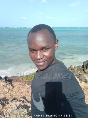 CV Mlezi wa Nyumbani - Tayari Kufanya Kazi Popote Kenya