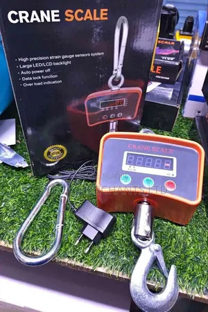 Accurate Crane Hanging Weighing Scale 500kg