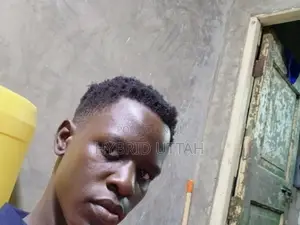 Mtaalamu wa Kusafisha Majengo Marefu CV