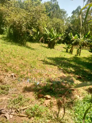 Kitalu Bora cha 50x100 Kinachouzwa Shikhambi