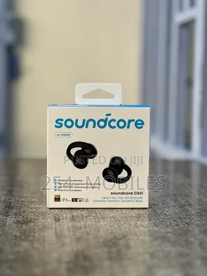 Anker Soundcore C50i Open Ear Earbuds