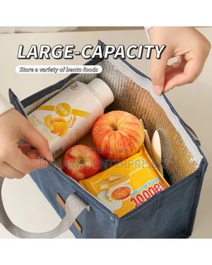 New Lunch Tote Bag for Food Storage