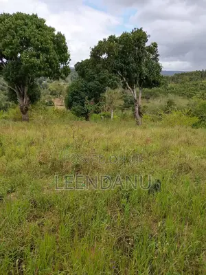 12 Acres Farm Land with Countryside Home for Sale