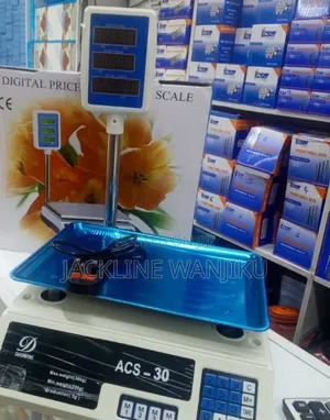 Accurate ACS-30 Pole Scale