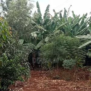 Prime 0.75-Acre Development Land for Lease - Thindigua, Kiambu