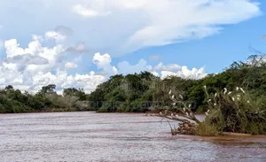 Eka 1000 za Kukodisha Tana River kwa Kilimo