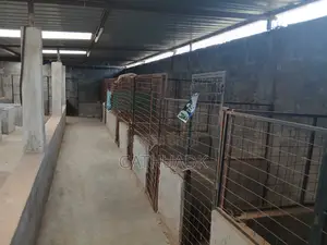 Kitalu cha 50x100 chenye Vyumba 5 vya Upangishaji Ruiru Kamakis Vision Park