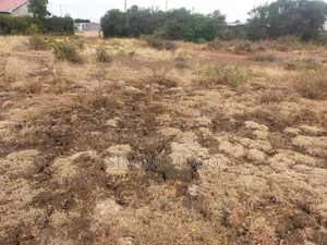 Juja Kalimoni Prime Eka 6 - Nyumba za Townhouses au Maghala
