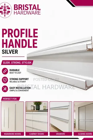 Handle ya Profile ya Silver (Recessed)