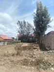 Eneo la 50x100ft Linauzwa, Miwani Machakos - 2