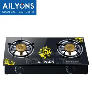 Ailyons GS014-5 Jiko la Gesi la Vichomeo 2 vya Kioo