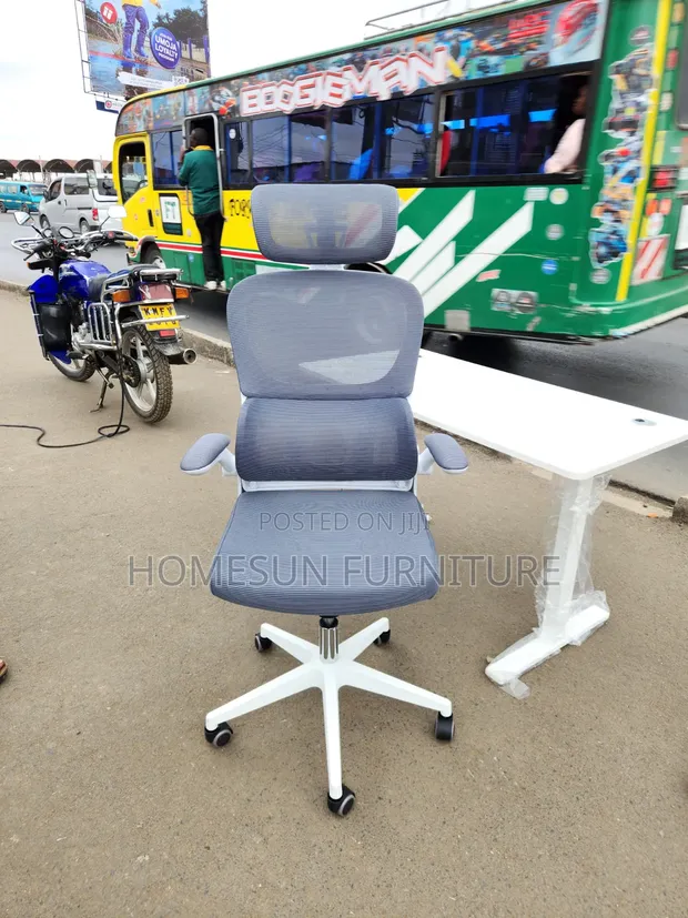 Ergonomic Executive Office Chair with Headrest & Footrest - Grey - 1