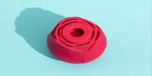 PINK Vibrator - Sexual Wellness Toy