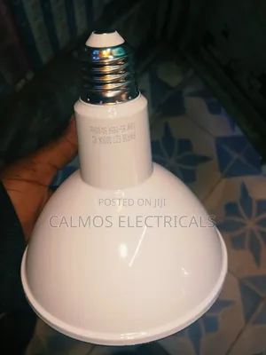d.light 18W LED Spotlight Bulb (PAR38)