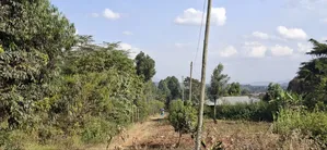 100x100 Residential Plot for Sale - Kikuyu, Kamangu