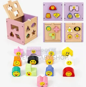 Montessori Wooden Shape Sorter & Emotion Matching Box