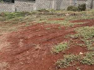 Karen 1 Acre Commercial Land for Sale - Tree Lane
