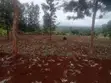 Ardhi Bora Eka 1 Inauzwa Uceru, Kirimunge - 2