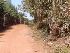 Half Acre Land for Sale in Marema, Makuyu
