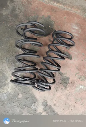 Toyota Premio Nyoka Coil Springs (Used)