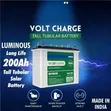 Luminous 200Ah 12V Tall Tubular Solar Battery - 2