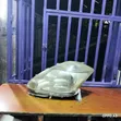 Toyota Passo 2005/2008 Xenon Headlamp - Imetumika - 1