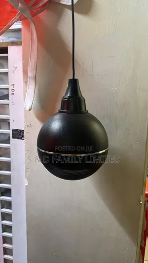Brand New 20 Watt Hanging Speaker
