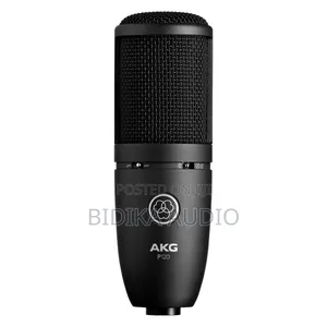 AKG P120 Microphone Kubwa ya Condenser