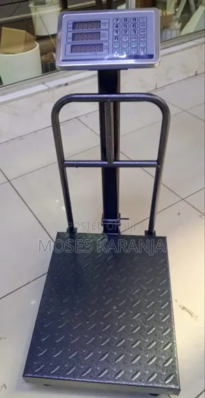 Robust Steel Frame Commercial Scale