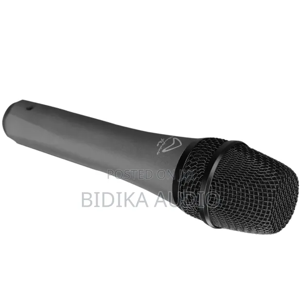 Wharfedale DM5.0 Pro Supercardioid Dynamic Vocal Microphone - 1