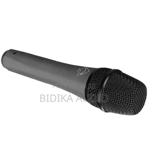 Wharfedale DM5.0 Pro Supercardioid Dynamic Vocal Microphone