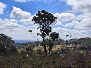 1 Acre Land for Sale in Lemiso Road, Ngong